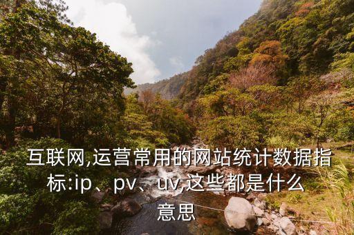  互聯(lián)網(wǎng),運營常用的網(wǎng)站統(tǒng)計數(shù)據(jù)指標:ip、pv、uv,這些都是什么意思