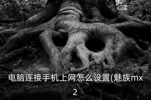 魅族數(shù)據(jù)線鏈接電腦上網(wǎng),為什么魅族手機用數(shù)據(jù)線連接電腦?