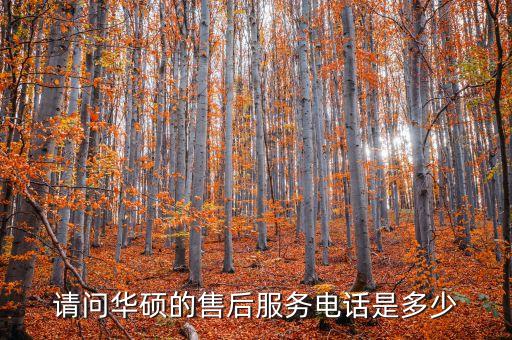 華碩小布機(jī)器人視頻,小布機(jī)器人能取代人類(lèi)嗎?