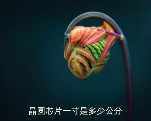 晶圓芯片一寸是多少公分