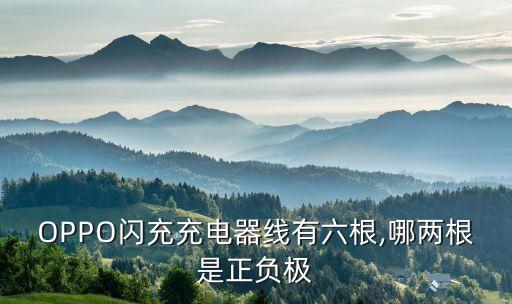 OPPO閃充充電器線有六根,哪兩根是正負(fù)極