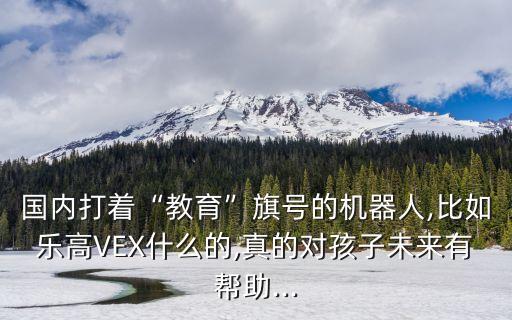 國內(nèi)打著“教育”旗號的機(jī)器人,比如樂高VEX什么的,真的對孩子未來有幫助...