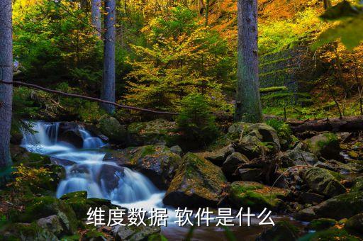 維度數(shù)據(jù) 軟件是什么