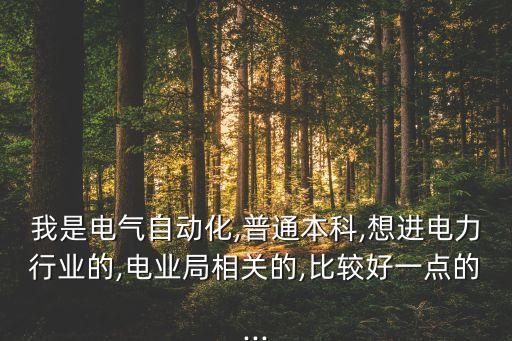 我是電氣自動化,普通本科,想進(jìn)電力行業(yè)的,電業(yè)局相關(guān)的,比較好一點(diǎn)的...
