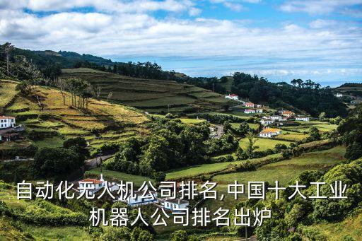 重慶自動化無人機(jī)公司排名,中國十大工業(yè)機(jī)器人公司排名出爐