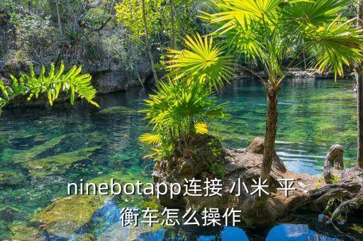 ninebotapp連接 小米 平衡車怎么操作