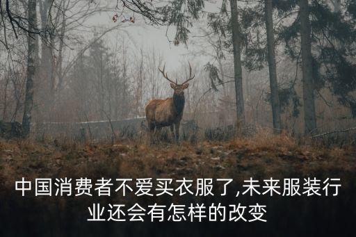 中國消費者不愛買衣服了,未來服裝行業(yè)還會有怎樣的改變