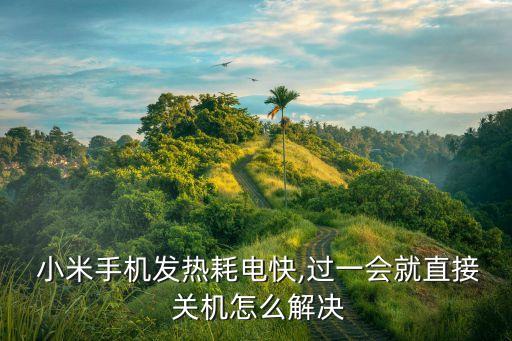  小米手機(jī)發(fā)熱耗電快,過一會(huì)就直接 關(guān)機(jī)怎么解決