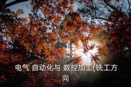  電氣 自動化與 數(shù)控加工(銑工方向