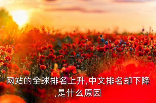 網(wǎng)站的全球排名上升,中文排名卻下降,是什么原因