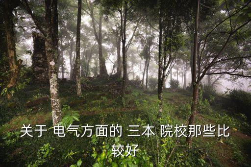 關(guān)于 電氣方面的 三本 院校那些比較好