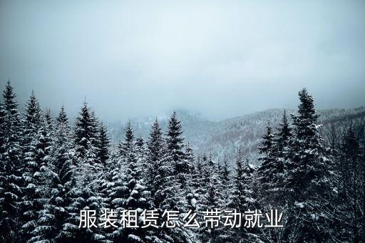 租衣市場數(shù)據(jù)調(diào)研,市場數(shù)據(jù)調(diào)研崗位是干什么的