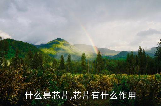 芯片分類,芯片有哪些分類?看這里!