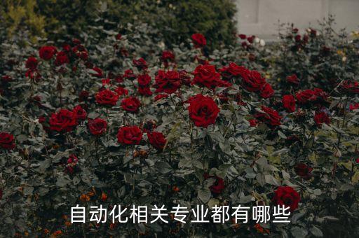 自動(dòng)化相關(guān)專業(yè)都有哪些