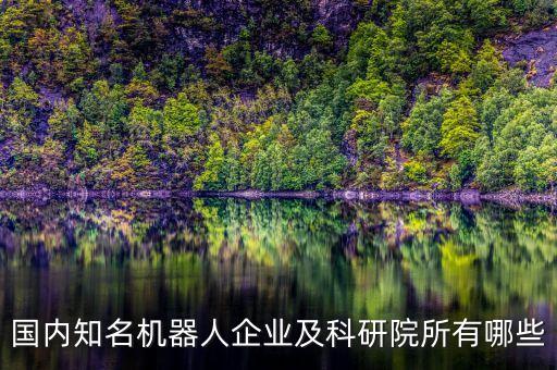 國內知名機器人企業(yè)及科研院所有哪些