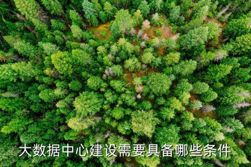 大數(shù)據(jù)中心建設(shè)需要具備哪些條件