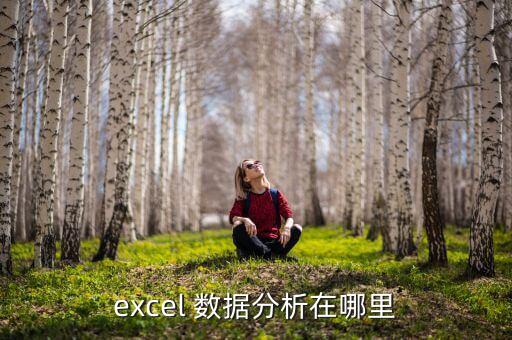 免費數(shù)據(jù)分析軟件,極速賽車大數(shù)據(jù)分析軟件