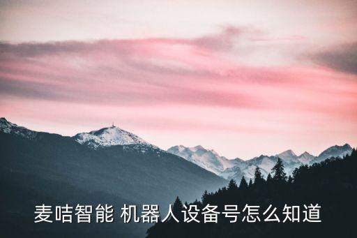 麥咭智能 機(jī)器人設(shè)備號(hào)怎么知道