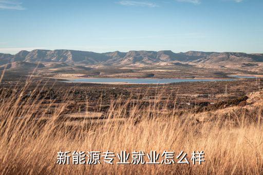 新能源自動化專業(yè)前景分析,自動化專業(yè)介紹與就業(yè)前景