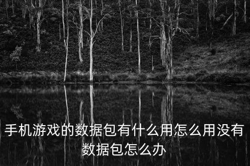 手機游戲的數(shù)據(jù)包有什么用怎么用沒有數(shù)據(jù)包怎么辦