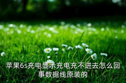 6s數(shù)據(jù)線細(xì),安卓手機(jī)數(shù)據(jù)線是一樣的嗎?