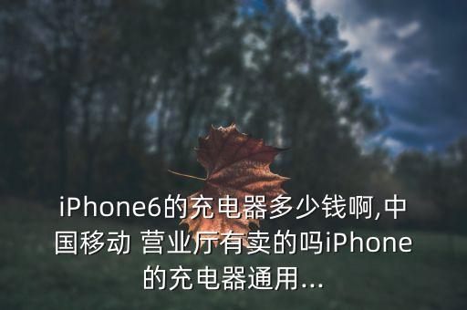 iPhone6的充電器多少錢啊,中國(guó)移動(dòng) 營(yíng)業(yè)廳有賣的嗎iPhone的充電器通用...