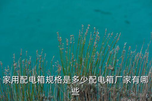 家用配電箱規(guī)格是多少配電箱廠家有哪些