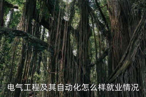 電氣工程及其自動化怎么樣就業(yè)情況