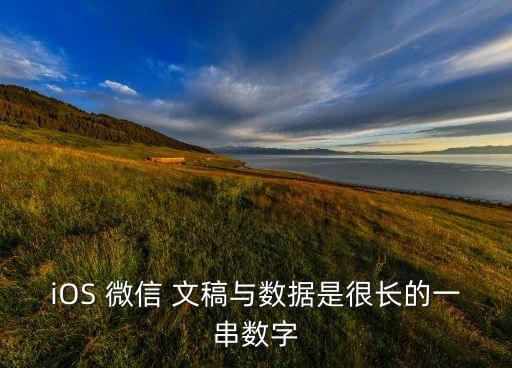 iOS 微信 文稿與數(shù)據(jù)是很長的一串數(shù)字