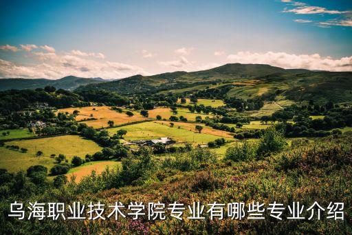烏海職業(yè)技術(shù)學(xué)院專業(yè)有哪些專業(yè)介紹
