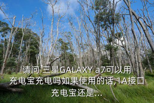 請問 三星GALAXY a7可以用充電寶充電嗎如果使用的話,1A接口充電寶還是...