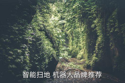 福瑪特機(jī)器人評(píng)測(cè)