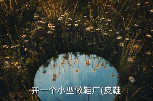開(kāi)一個(gè)小型做鞋廠(皮鞋