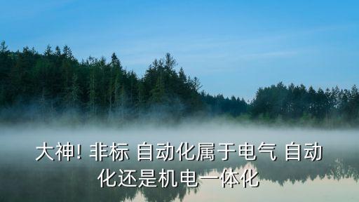 大神! 非標(biāo) 自動(dòng)化屬于電氣 自動(dòng)化還是機(jī)電一體化
