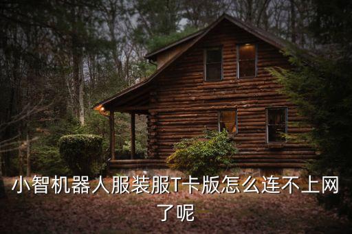 小智機(jī)器人服裝服T卡版怎么連不上網(wǎng)了呢