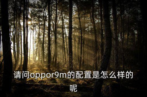 請問oppor9m的配置是怎么樣的呢