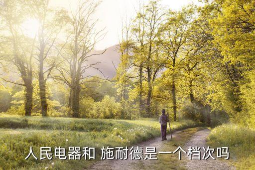 人民電器和 施耐德是一個檔次嗎