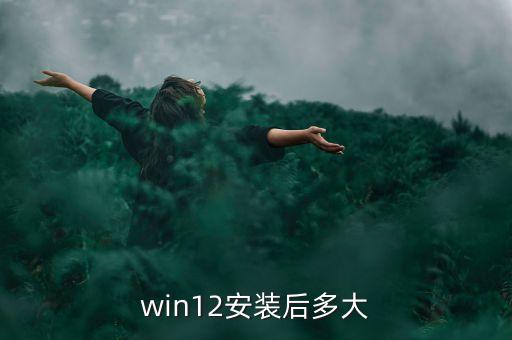 win12安裝后多大
