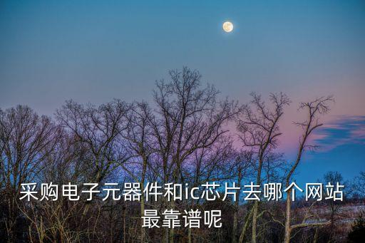 采購電子元器件和ic芯片去哪個網(wǎng)站最靠譜呢
