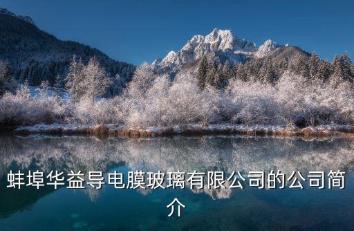 蚌埠華益導(dǎo)電膜玻璃有限公司的公司簡介