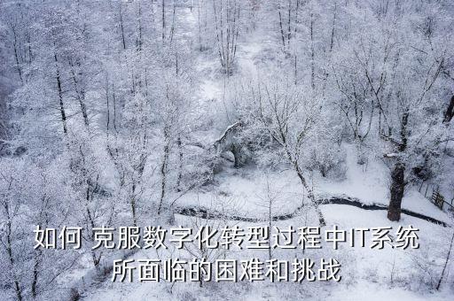 大數(shù)據(jù)建設(shè)需要克服什么困哪