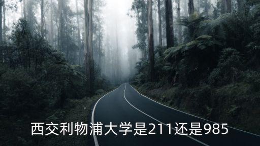 西交利物浦大學(xué)是211還是985
