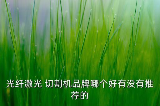 光纖激光 切割機(jī)品牌哪個(gè)好有沒有推薦的