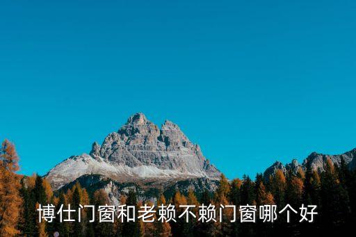 廣東博仕自動化設(shè)備,立達(dá)博仕電梯躋身行業(yè)一線品牌