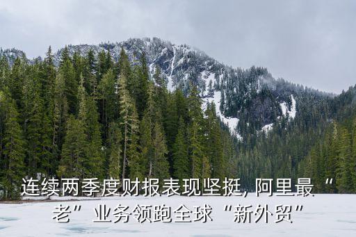 連續(xù)兩季度財報表現(xiàn)堅挺, 阿里最“老”業(yè)務領跑全球“新外貿(mào)”