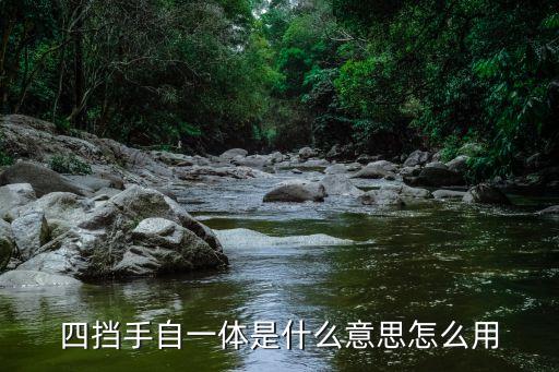 四擋手自一體是什么意思怎么用