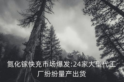 氮化鎵快充市場爆發(fā):24家大型代工廠紛紛量產(chǎn)出貨
