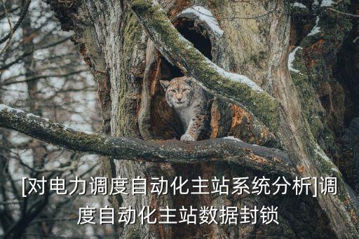 [對電力調(diào)度自動化主站系統(tǒng)分析]調(diào)度自動化主站數(shù)據(jù)封鎖