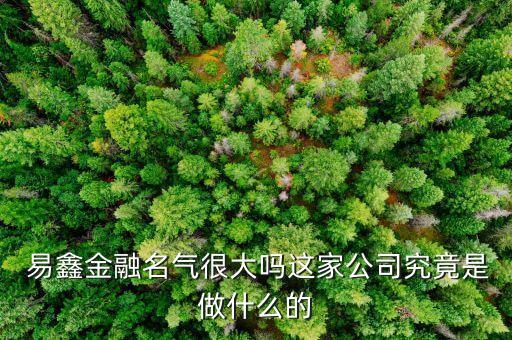 易鑫金融,埃安和易鑫金融有合作嗎?有名氣嗎?