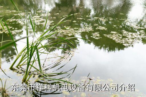 東莞市祥科機電設(shè)備有限公司介紹